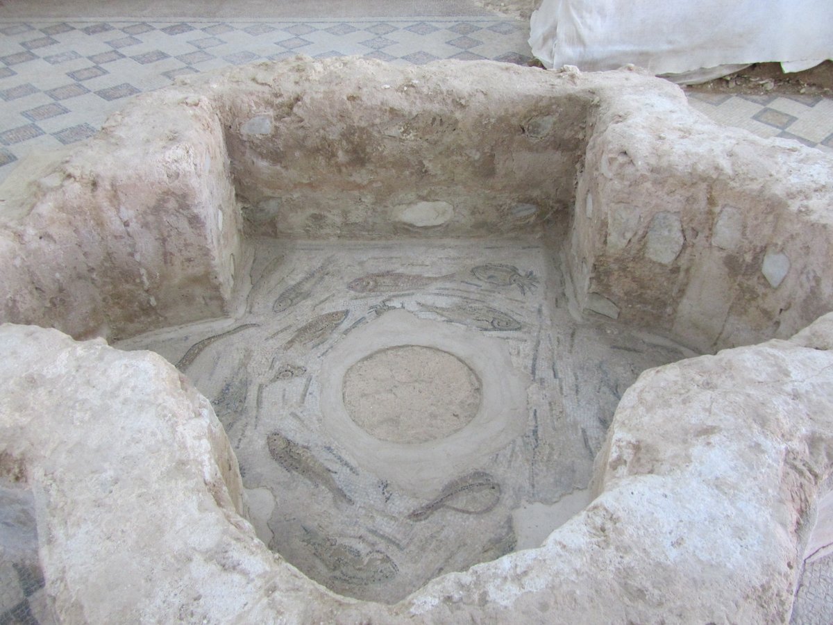 Again in  #Sardinia, but further  #North:walking through the archaeological area of  @MuseoArcheoPT means enjoyng some stunning  #Roman mosaics, like the one portrying  #Orpheus playing the lyra surrounded by animals, or the marine one, decorating a trilobed tub  #MuseumsUnlocked 10/12