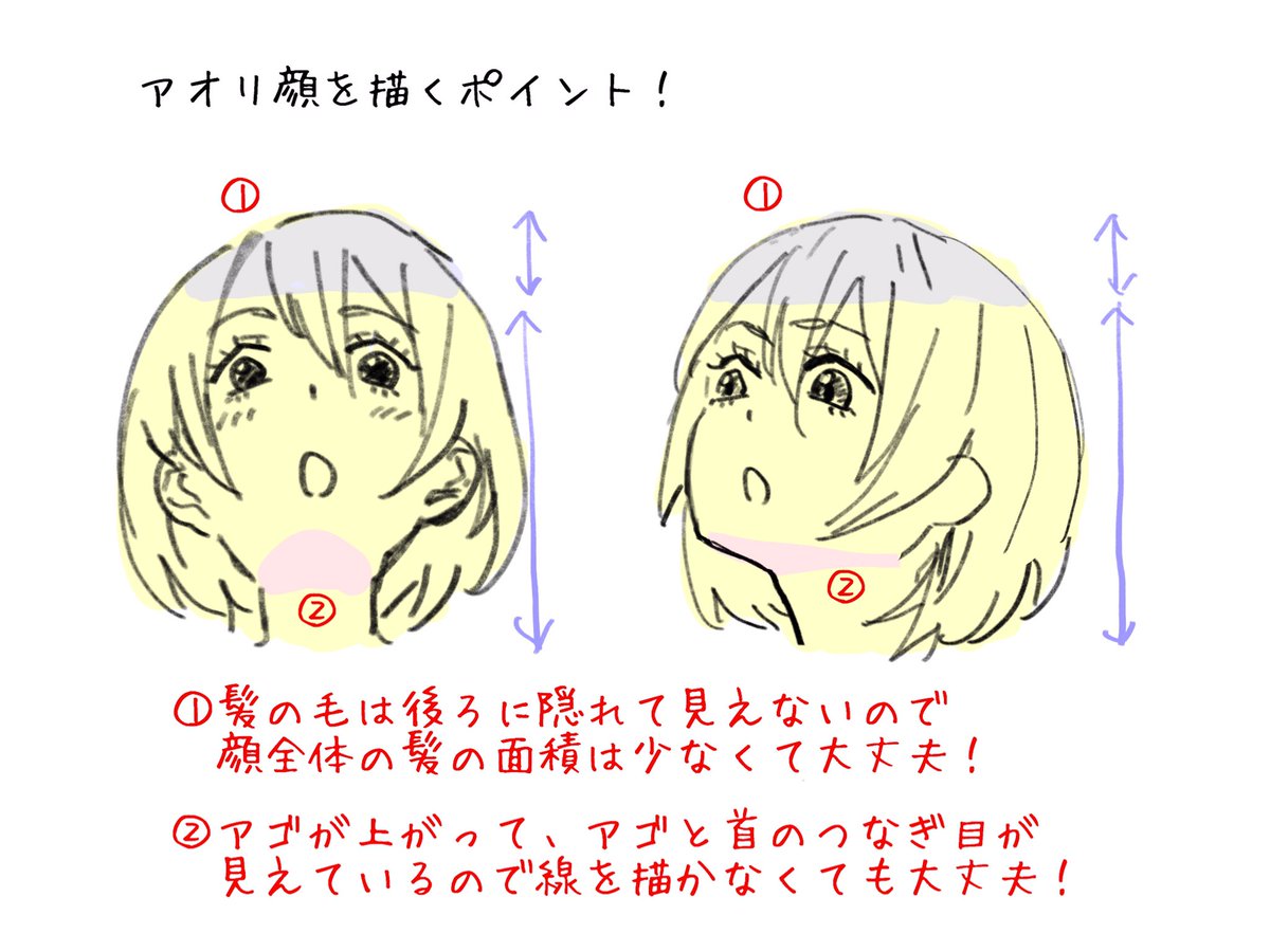 レベル1でも描ける【アオリ顔】

✅角度が変わるとアゴが出るよ!

10年前に知ってたら
顔のバリエーション増えてたよ…

描き慣れれば生き生きした
ハンコックも描けますよ? 