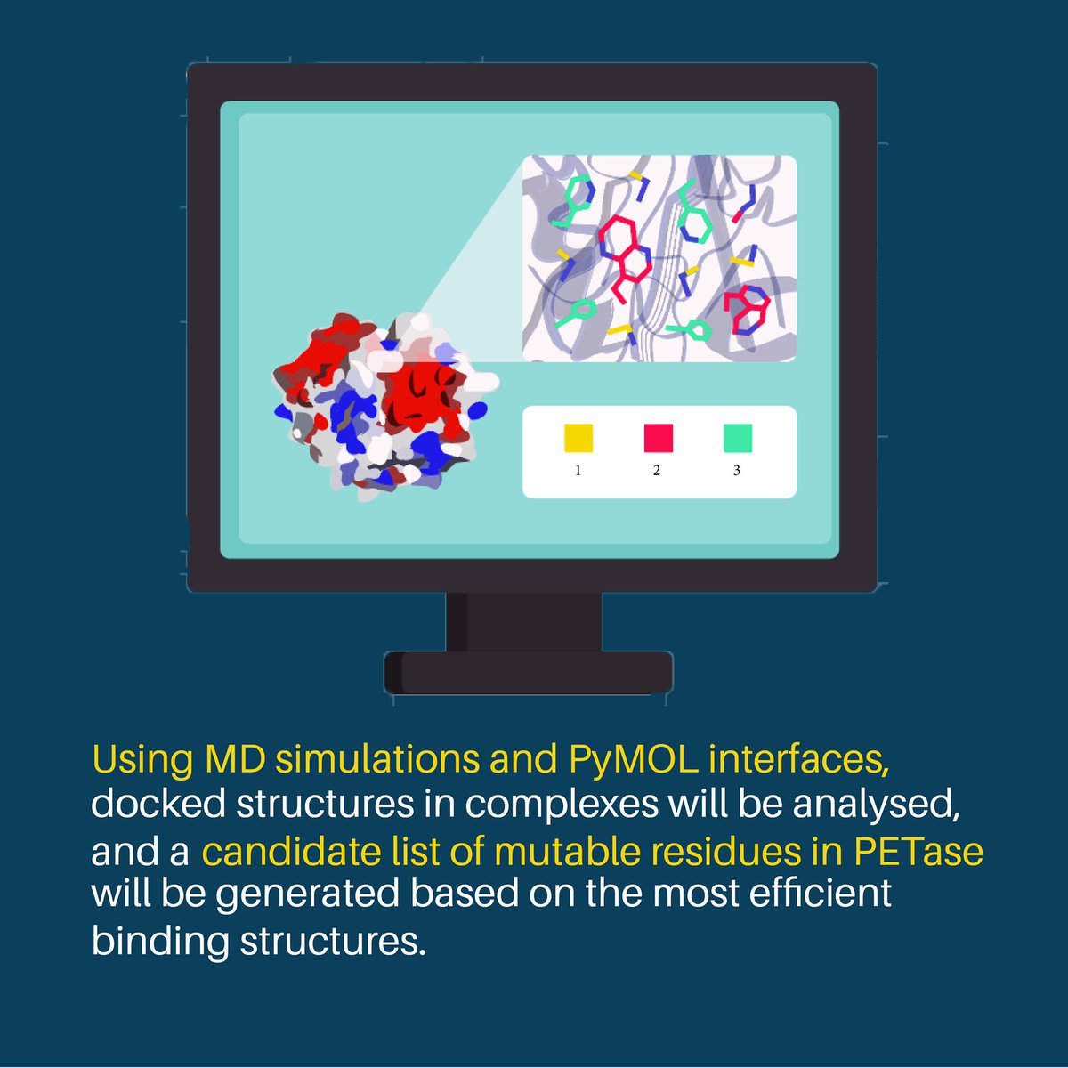 Phase one of iGEM Toronto Wet Lab includes literature review and protein database analysis on PETase and other molecular components of its enzymatic pathway, as well as other candidate plastic-degrading enzymes. Via biochemical simulations, mutations for PETase will be developed.