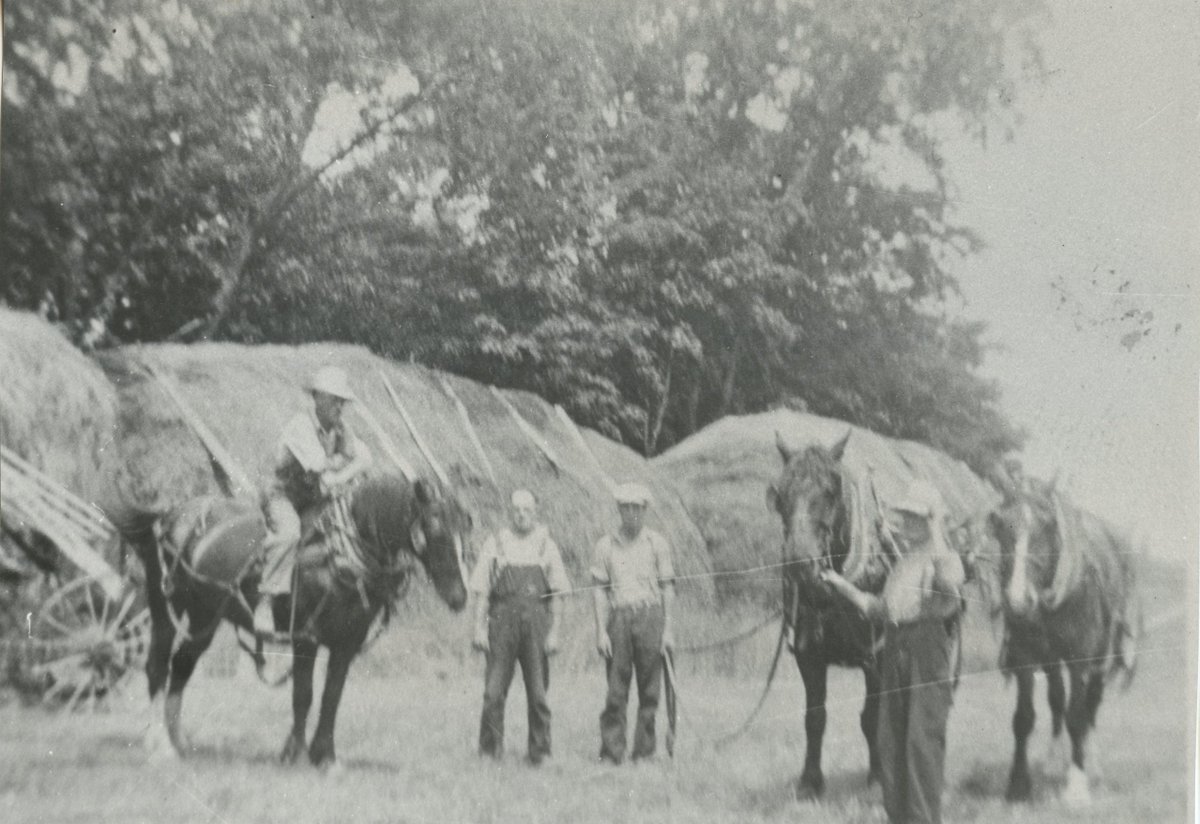 CraigleithDepot's tweet photo. Happy Cluesday Tuesday!
Farming has been a primary industry in the area! Here are some photographs of local farmers and their machinery.
Can you try and name some of the farmers and their machines?
#farming #cluesdaytuesday #archives #guessthat #farminglife https://t.co/5mrNS3HibU