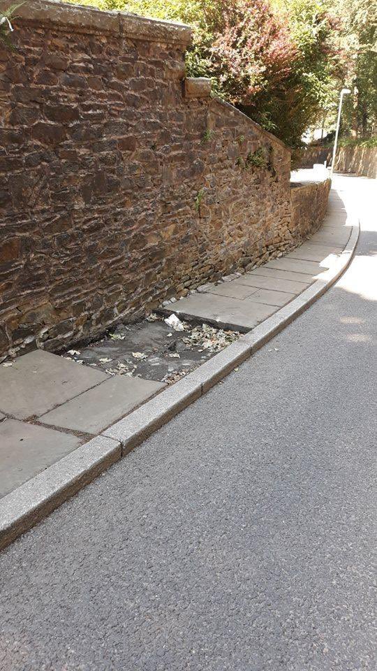 Step two. Use the old bag of wank zero maintenance argument, to justify not spending a bit more effort on the tiny percentage of quality streets in your area. BTW Nothing is fucking zero maintenance!  #shitscape  #streetscape