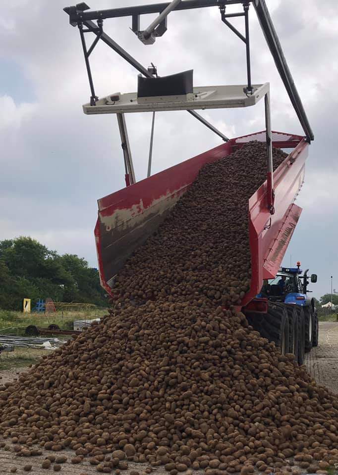 Afgelopen zaterdag 15.000 kilo #aardappels uit de #HoekscheWaard gered! 🥔 Honderden Rotterdammers kwamen langs om (voor een kleine bijdrage) te scheppen. Zij hebben niet alleen #voedselverspilling aangepakt maar ook de #boer gesteund 👍🏼 Super bedankt! Hopelijk tot snel! 💚