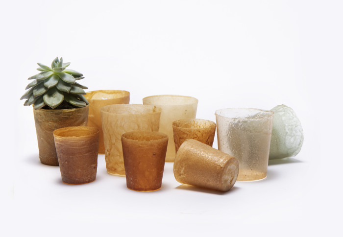 Grantham_IC's tweet image. Seafood waste sustainable packaging wins @imperialcollege biggest startup competition! Huge congratulations #Shellworks 🎉 

+ Congratulations to @Treeconomyltd - helping landowners earn by planting trees - who scooped the People&apos;s Prize!

Full details 👉 ow.ly/DLCM50AmEtl