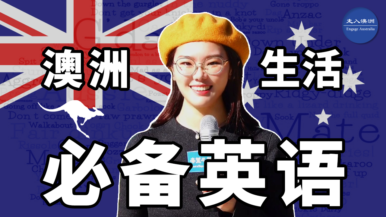 澳式英文 Twitter Search Twitter