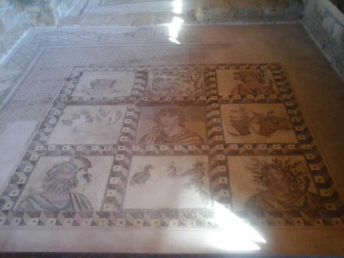 The third  #island of our tour, and the southernmost place. Nea  #Paphos, on the SW coast of Cyprus, still preserves in situ some of the finest mosaics of the ancient world belonging to the House of Dionysus, of Theseus, of Aion, of Orpheus & of The 4 Seasons  #MuseumsUnlocked 12/12