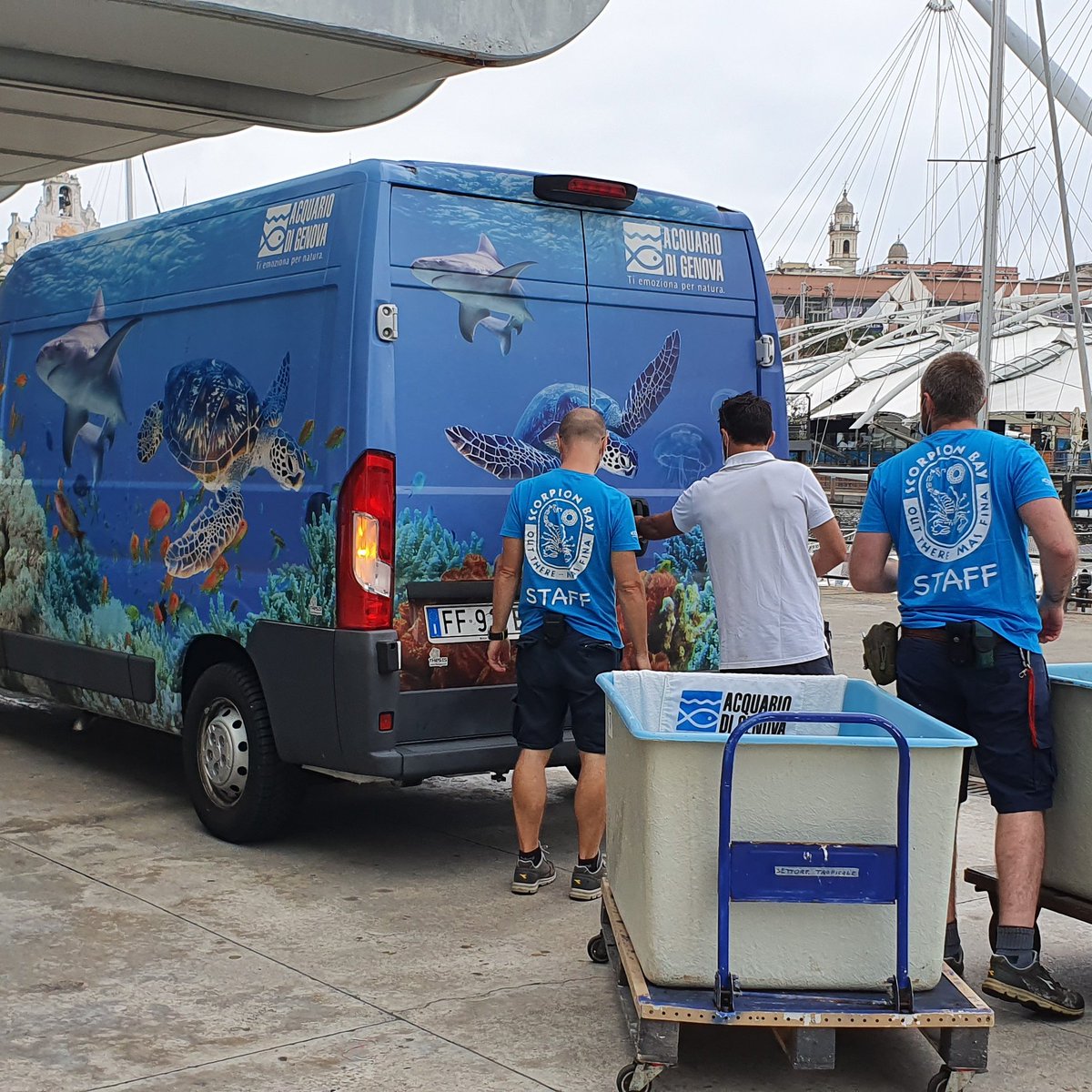 Acquario di Genova tweet media