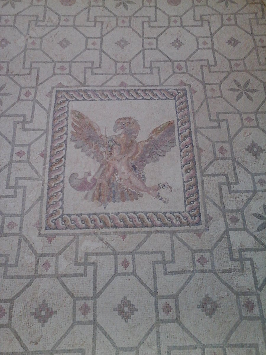 The third  #island of our tour, and the southernmost place. Nea  #Paphos, on the SW coast of Cyprus, still preserves in situ some of the finest mosaics of the ancient world belonging to the House of Dionysus, of Theseus, of Aion, of Orpheus & of The 4 Seasons  #MuseumsUnlocked 12/12