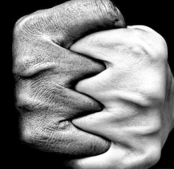 POROUSH's tweet image. Bonding...