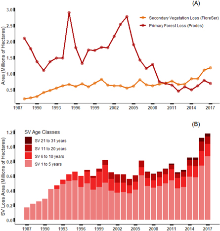 But since 2011, there is a more cryptic problem continually growing in the Amazon – the loss of secondary forests. Since then, we annually lose more secondary than primary  #forests Figure from this  @Imazon paper: https://iopscience.iop.org/article/10.1088/1748-9326/ab76db/meta