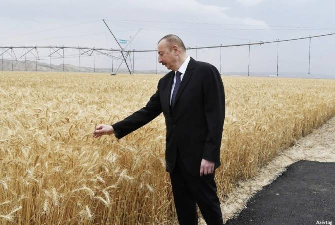 Post-soviet leaders in fields of wheat, A Series. Part 1: belarus, turkmenistan, tajikistan, azerbaijan