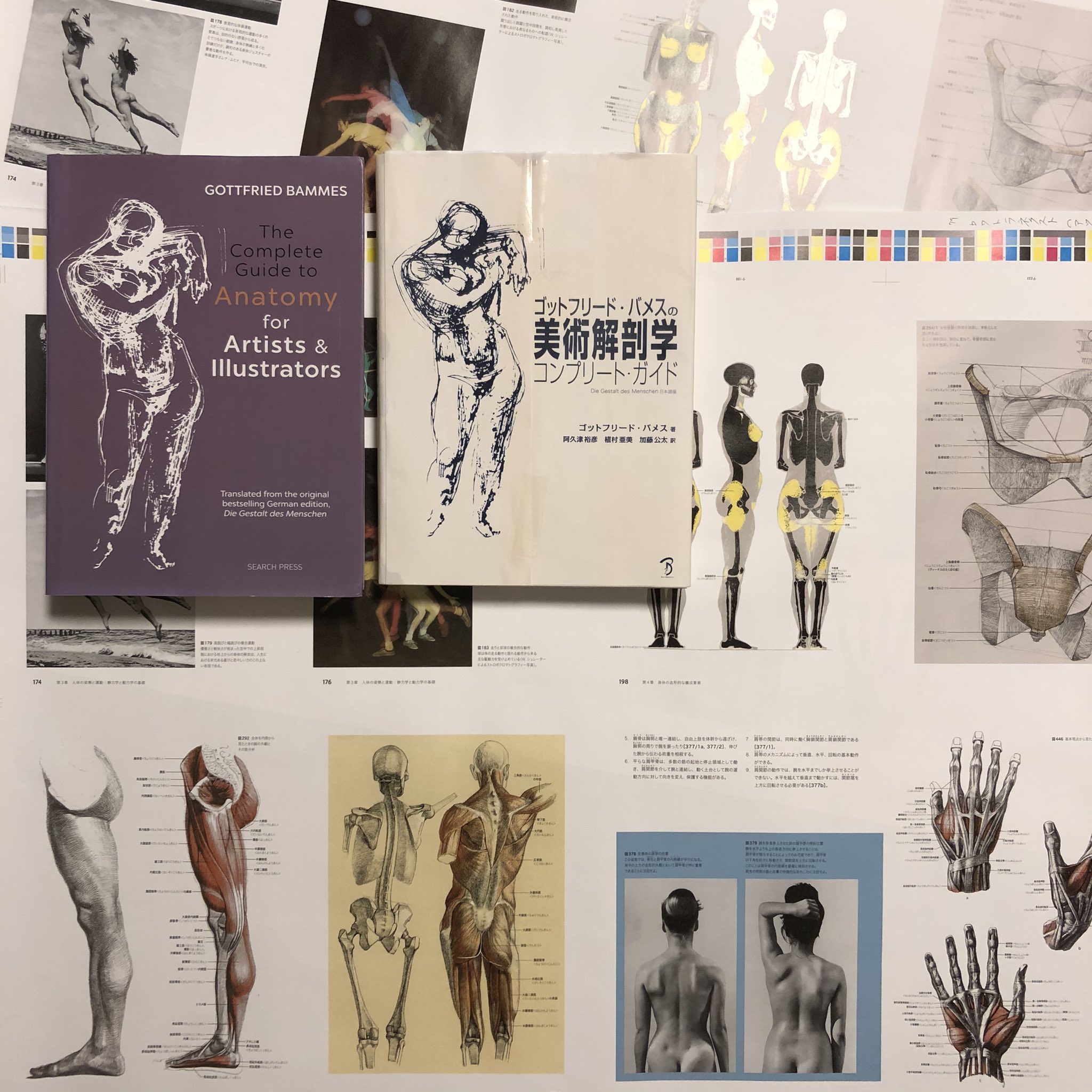 伊豆の美術解剖学者 on X: 伊豆の美術解剖学者 on X: