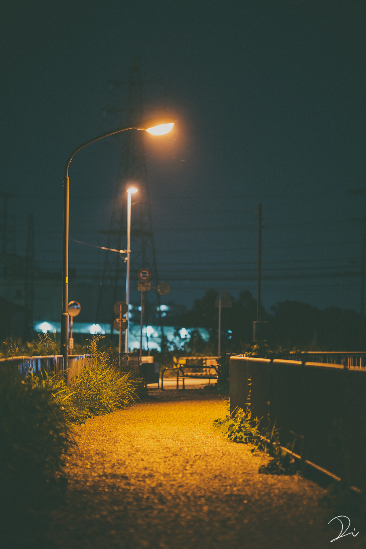 稲田大樹 うさだぬ 夜の道を照らす街灯の明かりが好き T Co M0hopj32zm Twitter