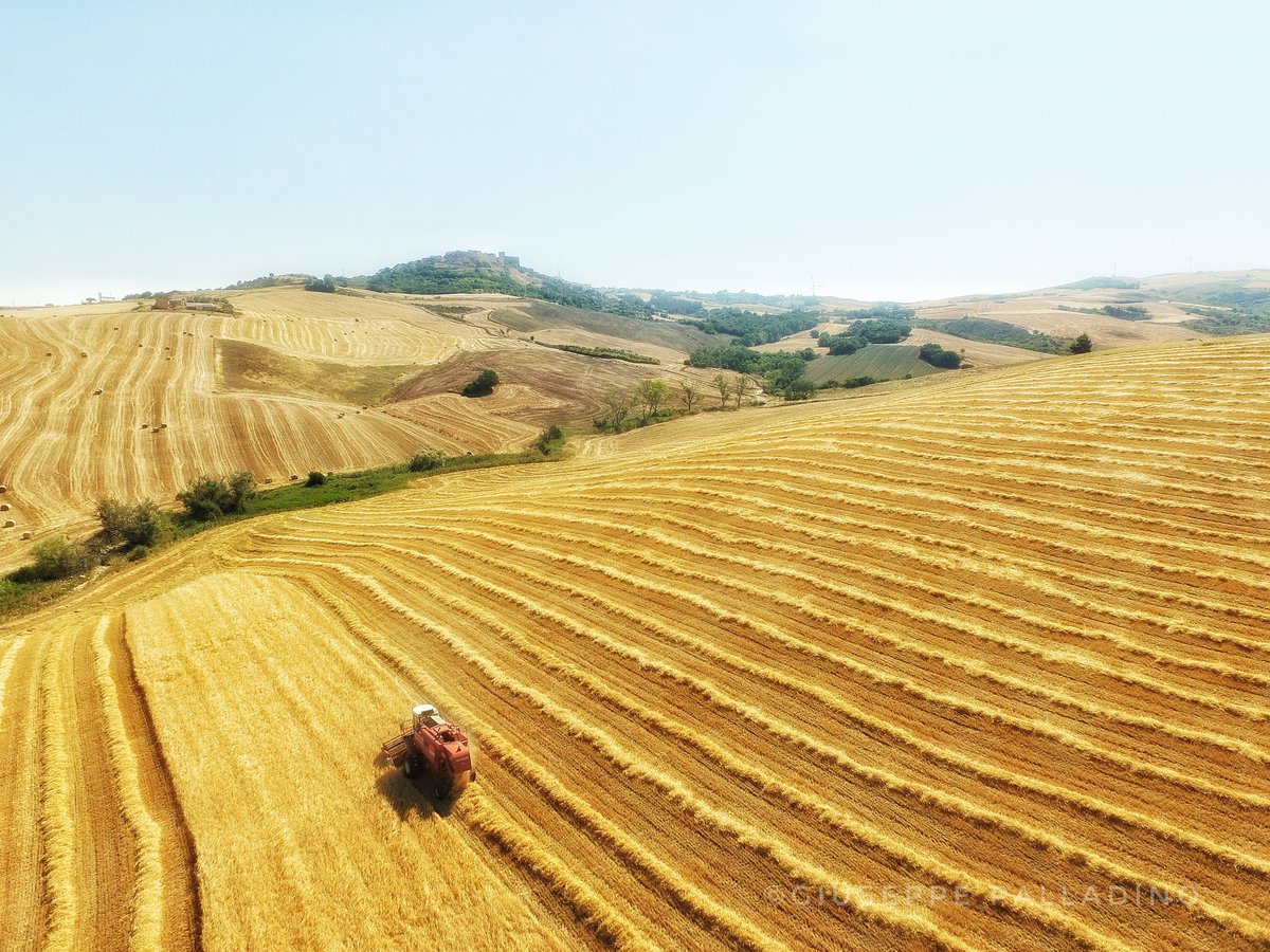 #1luglio soffio di #caronte

#Estate2020 #giuseppepalladino #puglia #rocchettasantantonio #fly #dronephotography #drone #djiphantom #djiphantom3 #natura #nature #gius01pal #July1st #July2020 #july