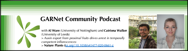 GARNetweets's tweet photo. On GARNet Community podcast we chat about auxin, mind-numbing phenotyping and local arrest of flowering w @alexandergware @CHollyWalker from @PlantSciNottm @PlantSciLeeds 
📖 @NaturePlants
👂 below or search ‘GARNet Community’ on your fav podcatcher ✅ 
https://t.co/d0Gp5smCOB https://t.co/BMJHNveXl2