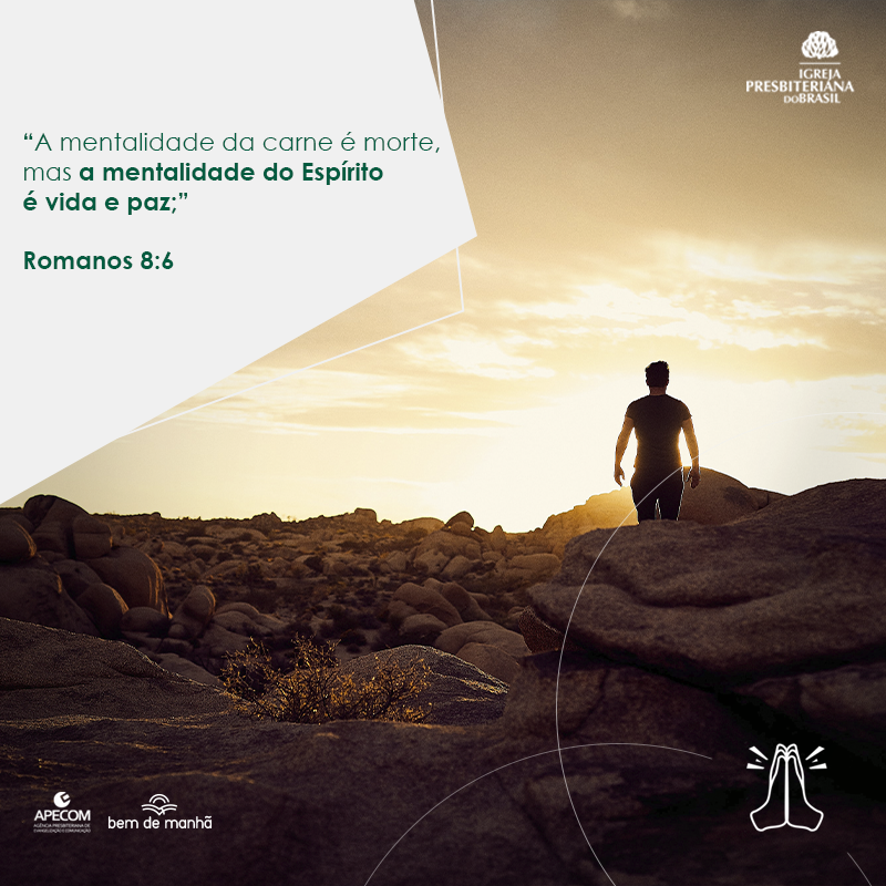 ipboficial tweet picture