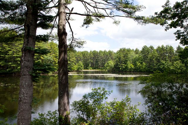 ecoRInews's tweet image. “Everybody thinks these places are protected but they are not. They are at risk,” says @RILandTrusts about URI&apos;s closure and possible development of its 2,300-acre nature campus.