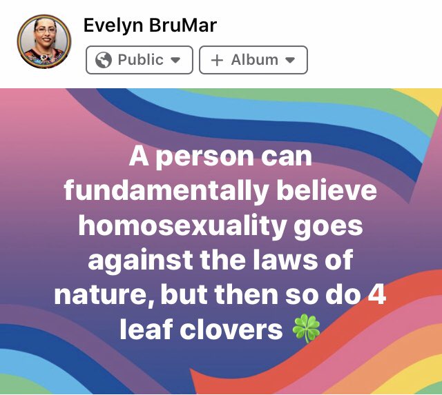 RightBruMar's tweet image. When you are elected to represent a diverse group of people, personal beliefs are not truths or facts. When you are an elected official the 1st thing you should always do when voting is to make sure that your vote does not break any laws. #VaValuesAct =Inclusive Commonwealth🏳️‍🌈