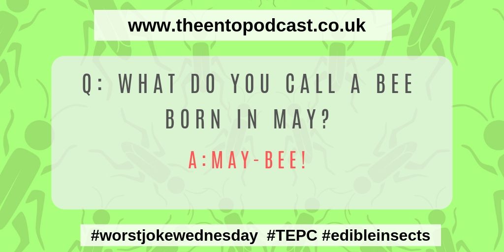 Happy Hump day enjoy our #worstjokewednesday, #ent