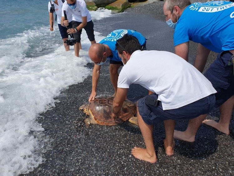 genovamorethanthis tweet media