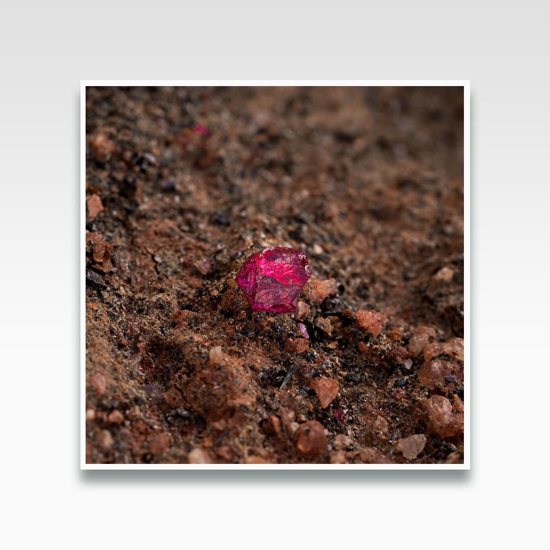 OfficialFaberge's tweet image. Happy #RubyMonth! July is Ruby Month and this year we are following the journey of the precious, rare ruby - from its conception deep in the heart of Africa, to the finished masterpiece, our Ruby Mosaic Pendant.
❤️