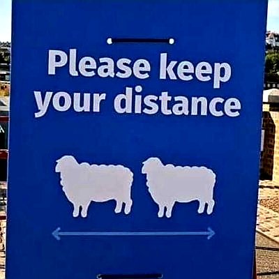 BratfudRecusant's tweet image. When an odd quirk of reality defines contemporary society! 😂 #MasksDoNotWork #SheepleOfTheWorldUnite 🐑🐑🐑