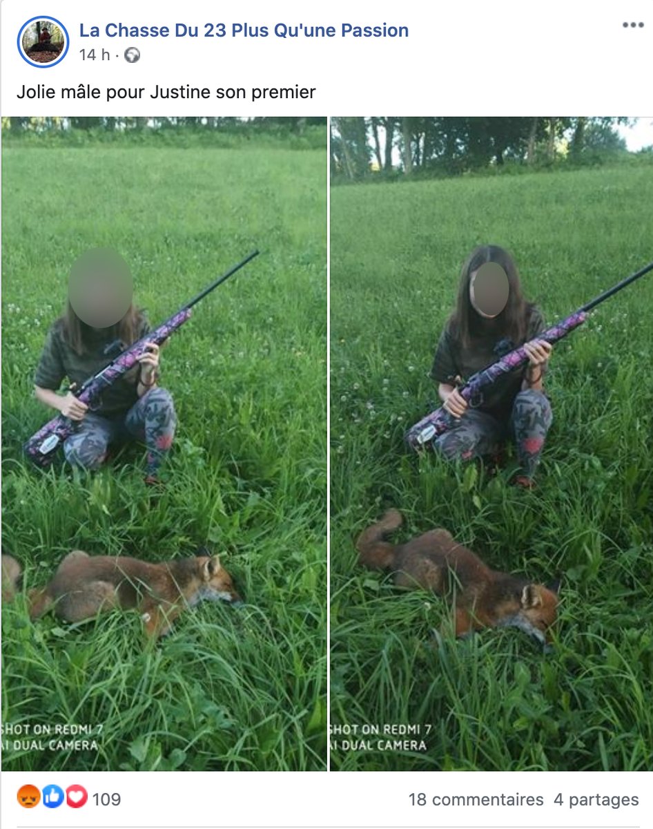 onevoiceanimal's tweet photo. Des enfants et des adolescents souriants, certains armes à la main, encouragés à tuer et félicités de leurs meurtres d'animaux. Les belles leçons en parentalité des chasseurs. On cherche en vain l'écologie et le respect du vivant! #LaChasseUnProblèmeMortel https://t.co/5STFN0PlOR https://t.co/03JGACUtq2