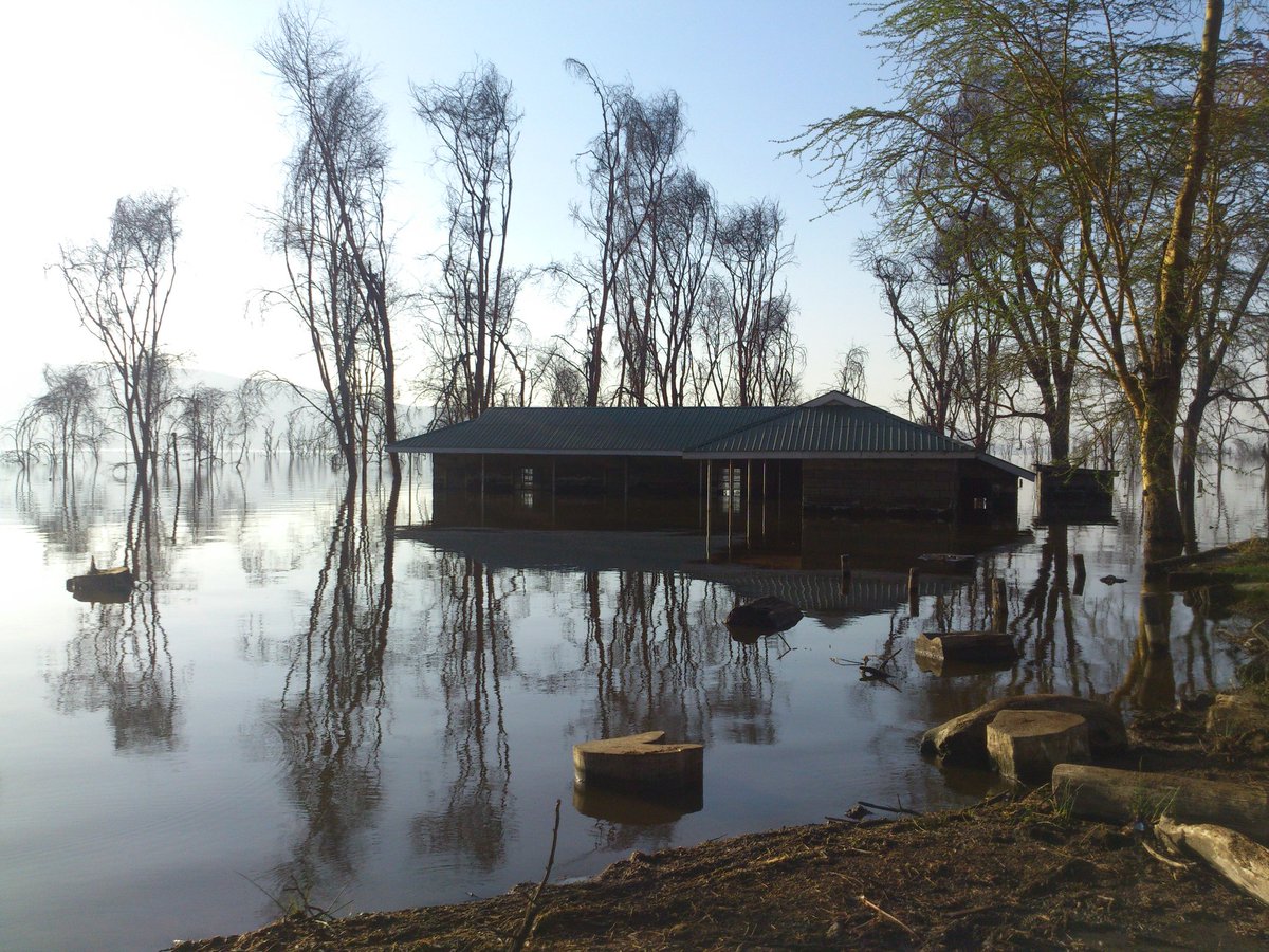 InsertFootChil's tweet image. Phone : Sony Ericsson LT28h
Date : March 9th 2014
Location : Lake Nakuru National Park entrance