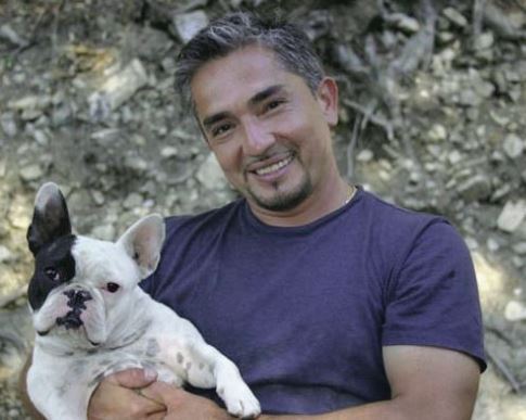 BullworthFB's tweet photo. Cesar Millan explains ways to keep your dog safe when fireworks start.

https://t.co/wbtnEzkqeE
.
.
#bullworthfrenchbulldogs #fireworks #petsafety #keepingdogcalm #july4th #frenchbulldogs #frenchies #dogs #advice https://t.co/fBC8ZOqo63