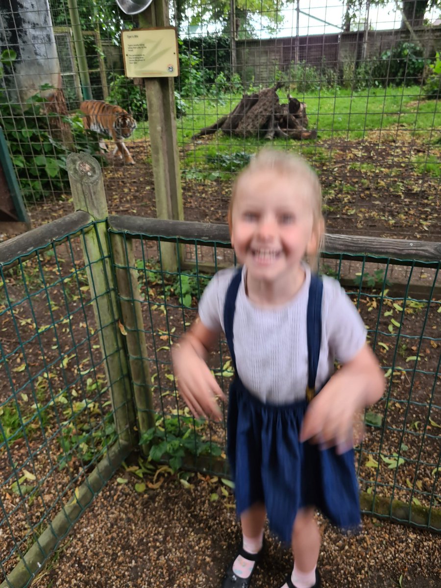 Shauna Mary Gibson tweet media