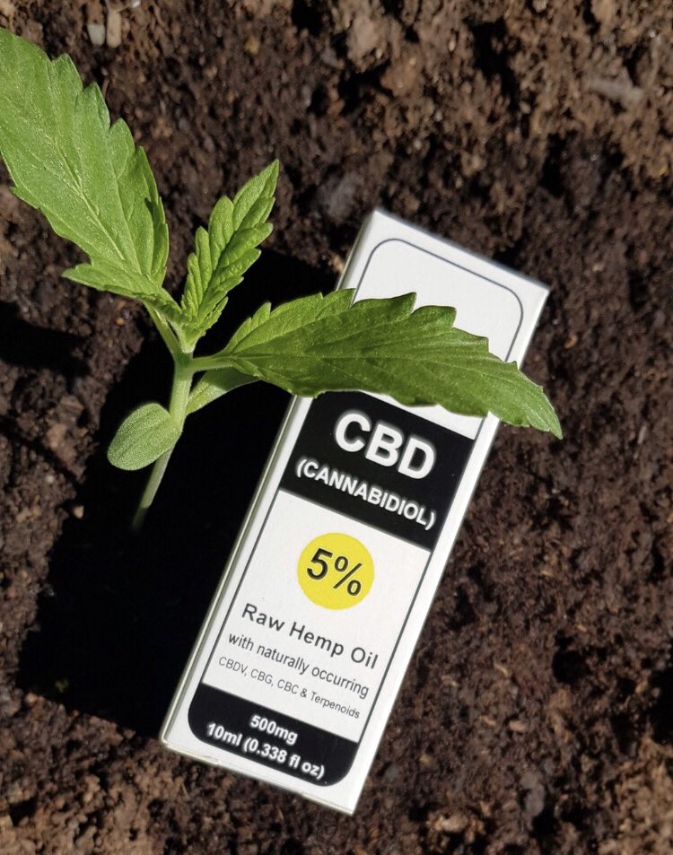 uHempCBD's tweet photo. And the beautiful cycle begins again... #Hemp #uHemp #Ireland #Irish #Cannabis #IIHA Image courtesy of @cbdswords 🌱 https://t.co/nTZX6C6iax