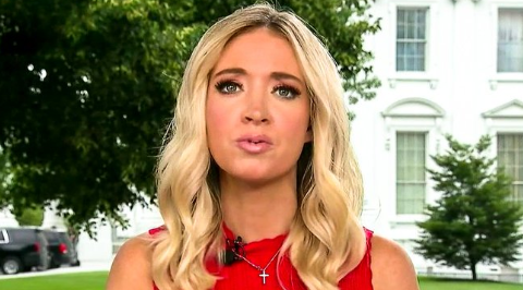 Lint4P's tweet image. I have seen him eat a Happy Meal all by himself, without getting ketchup on his hair.

#lowbar #HeCanRead #Trump