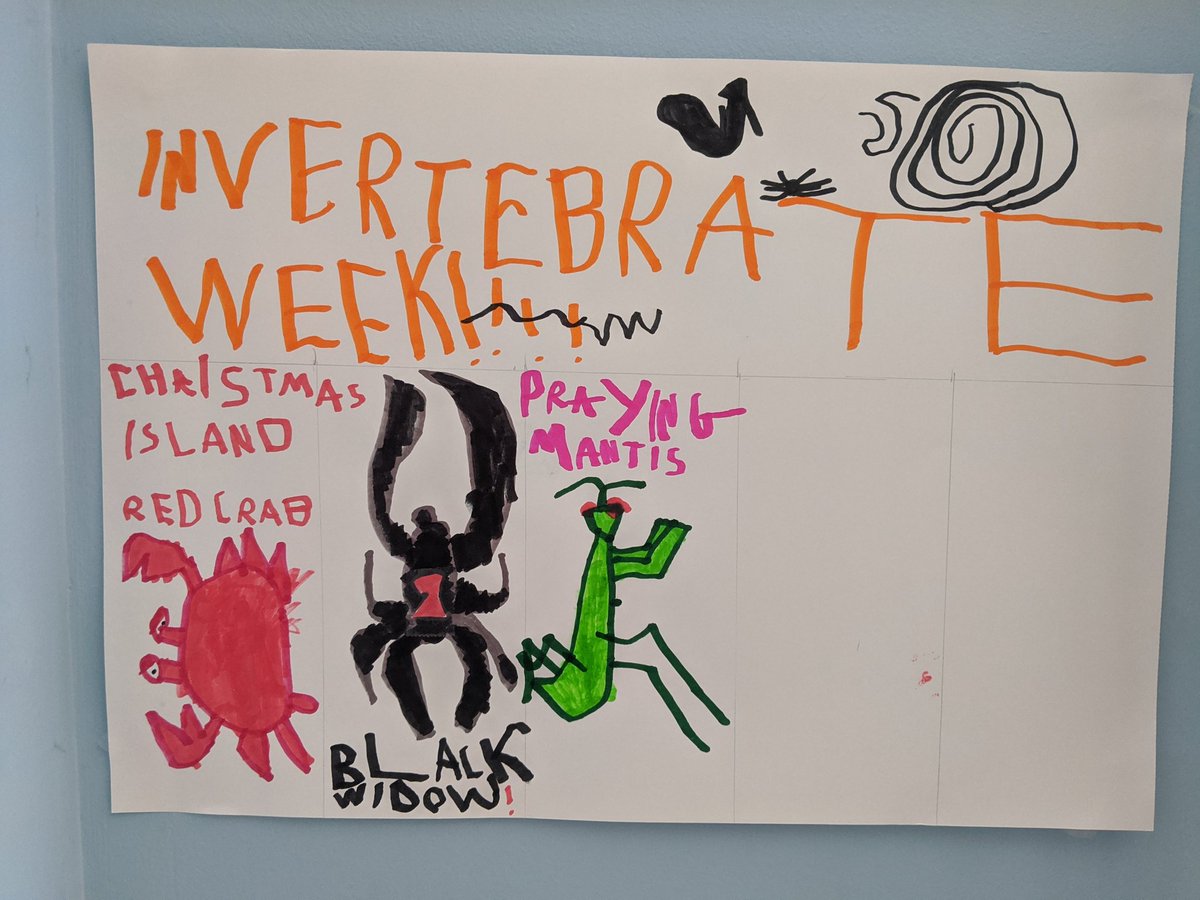 Hey, everything's terrible, so let's update with the last few weeks posters from the kid.