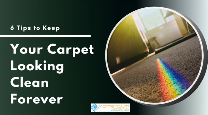 A good way for protecting your carpet flooring is to ensure that a doormat is placed at every entrance of your home. Here are some of the ways to help your carpet look clean for a long time: bit.ly/6t2kclcf #carpetcleaning