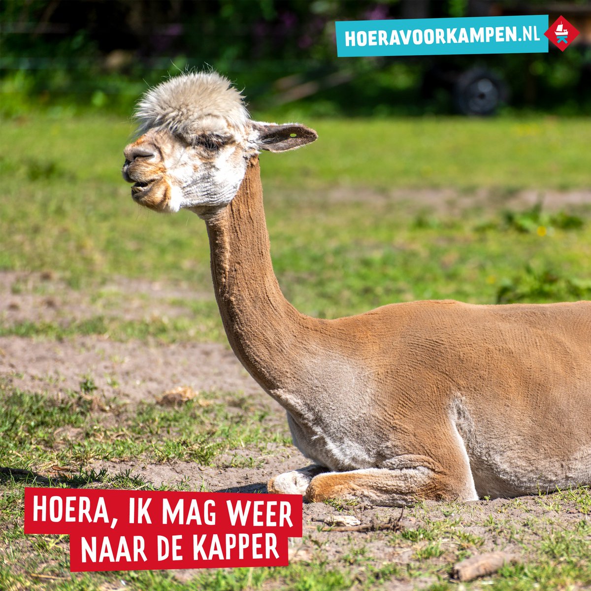 💕Hoera💕 Met ingang van vandaag zijn wij weer zonder beperkingen open! Wel volgen wij natuurlijk de richtlijnen die door de overheid en het RIVM zijn opgesteld.
#hoeravoorkampen #zomerinkampen #visitkampen #buitenspelen <a href="/KampenTourist/">Kampen Tourist Info</a> <a href="/KampenMarketing/">Kampen Marketing</a> <a href="/gemKampen/">Gemeente Kampen</a>
