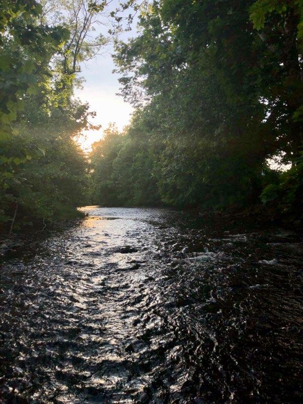 #WednesdayWisdom #njtrivia Where was this great #njnature pic taken? Comment with your answers!