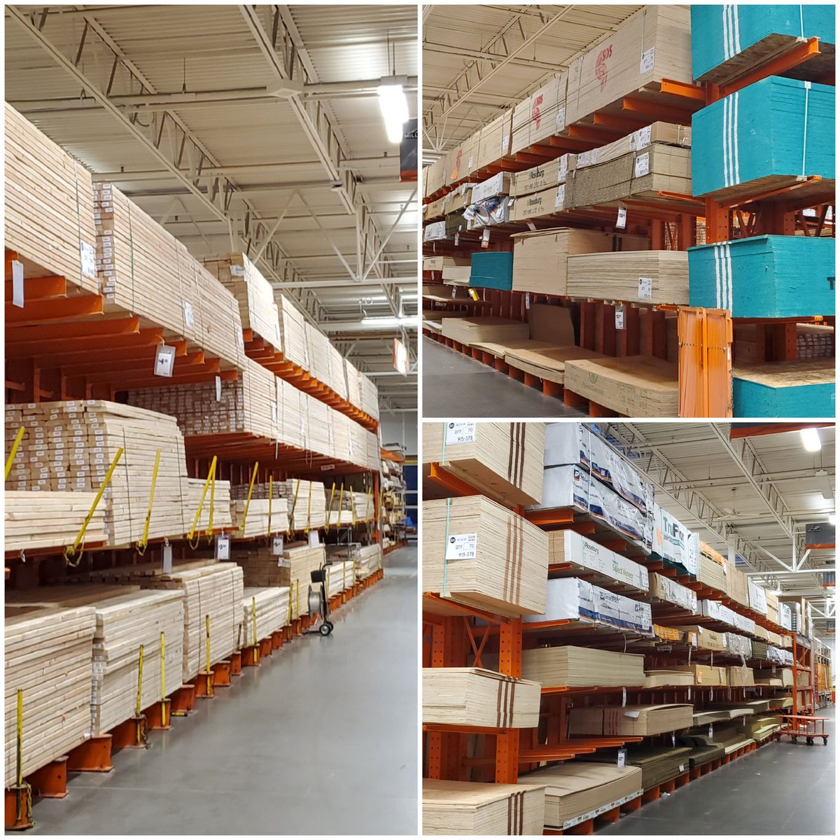 Shannon Mitchell tweet media