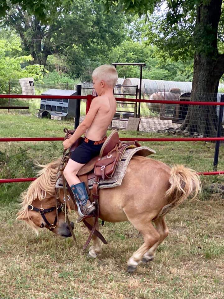 Twood_26's tweet photo. "You ain't no cowboy if you're not spurrin broncs in your underwear on a Monday morning!"
Ol Chap is one of the coolest kids I know! https://t.co/JoZyLCdUwv