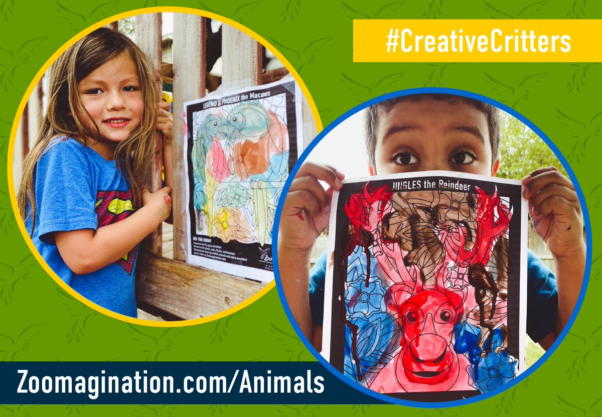 Calling all #CreativeCritters! We’ve got something new and fun for you! Download our new coloring pages! Post to Instagram, Facebook, or Twitter. Make sure to follow, tag us, and use the hashtag #CreativeCritters so we can share your works of art!!!  
Zoomagination.com/animals