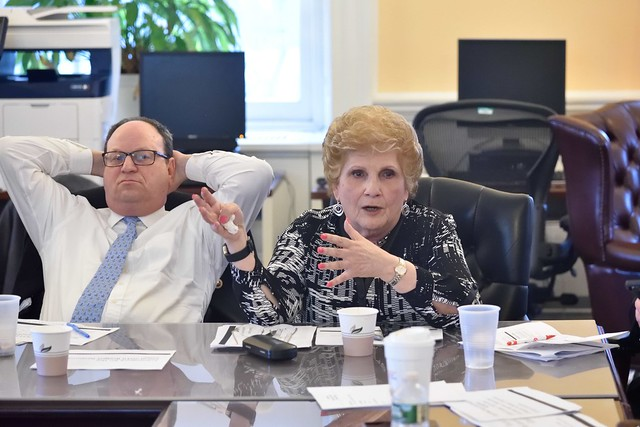 Karen Koslowitz - District 29 - Queens