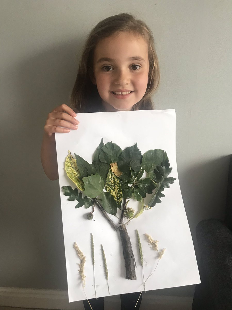 LisaDMills's tweet photo. @MWISClass7 Violet enjoyed collecting different leaves from the big trees. She sorted them, ticked them off on the sheet and then made a collage! 🍀🌳🌿 https://t.co/ZC229BLzPq