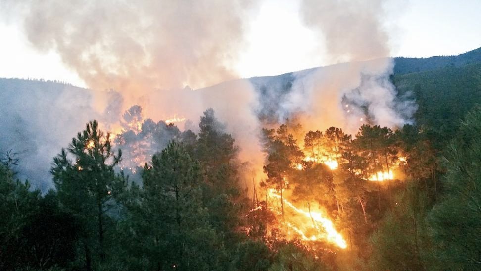 PLCastelldefels's tweet photo. Coneixes la regla del 30 30 30? És un terme que es refereix a la confluència de condicions meteorològiques que augmenten el risc d'incendi forestal:
- Temperatura superior als 30 graus,
- Ratxes de vents superiors a 30 km/h
- Humitat relativa de l'aire inferior al 30%
#capfoc https://t.co/snqhznhCcf