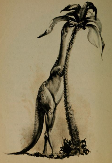 Let's get to "Dinosaurs and More Dinosaurs." (1965)This book fascinated me as a child because the illustrations were so weird. They were atmospheric and surreal, with an almost sculptural element to the images. They were like dinosaurs from a dream.