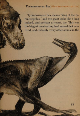 And there were subsequent editions. Different printings of the book include different animals and different versions of the illustrations. I don't know why this was done.