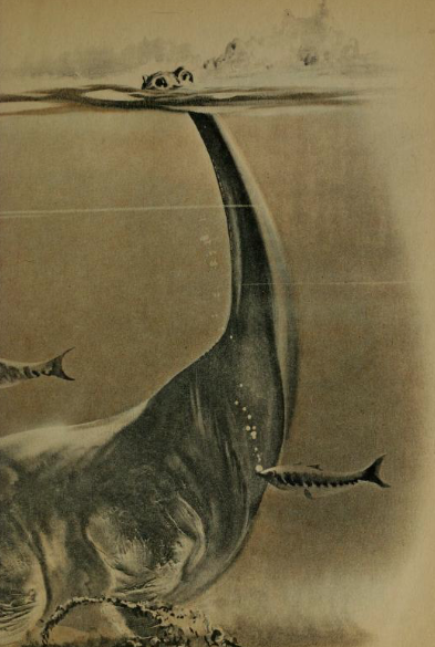 And there were subsequent editions. Different printings of the book include different animals and different versions of the illustrations. I don't know why this was done.