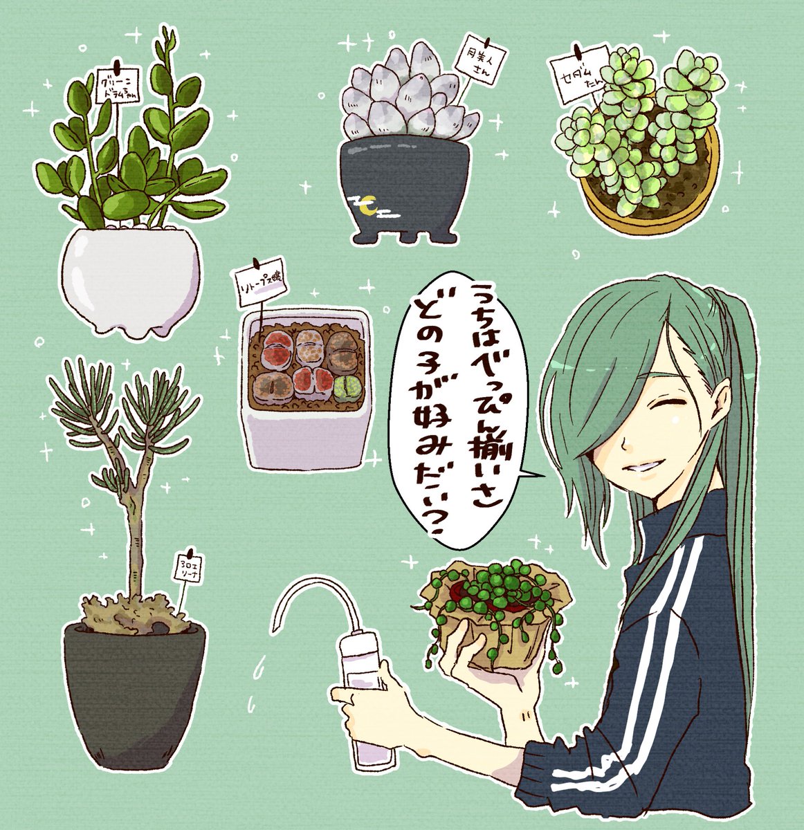 多肉植物を可愛がる青江という妄想 