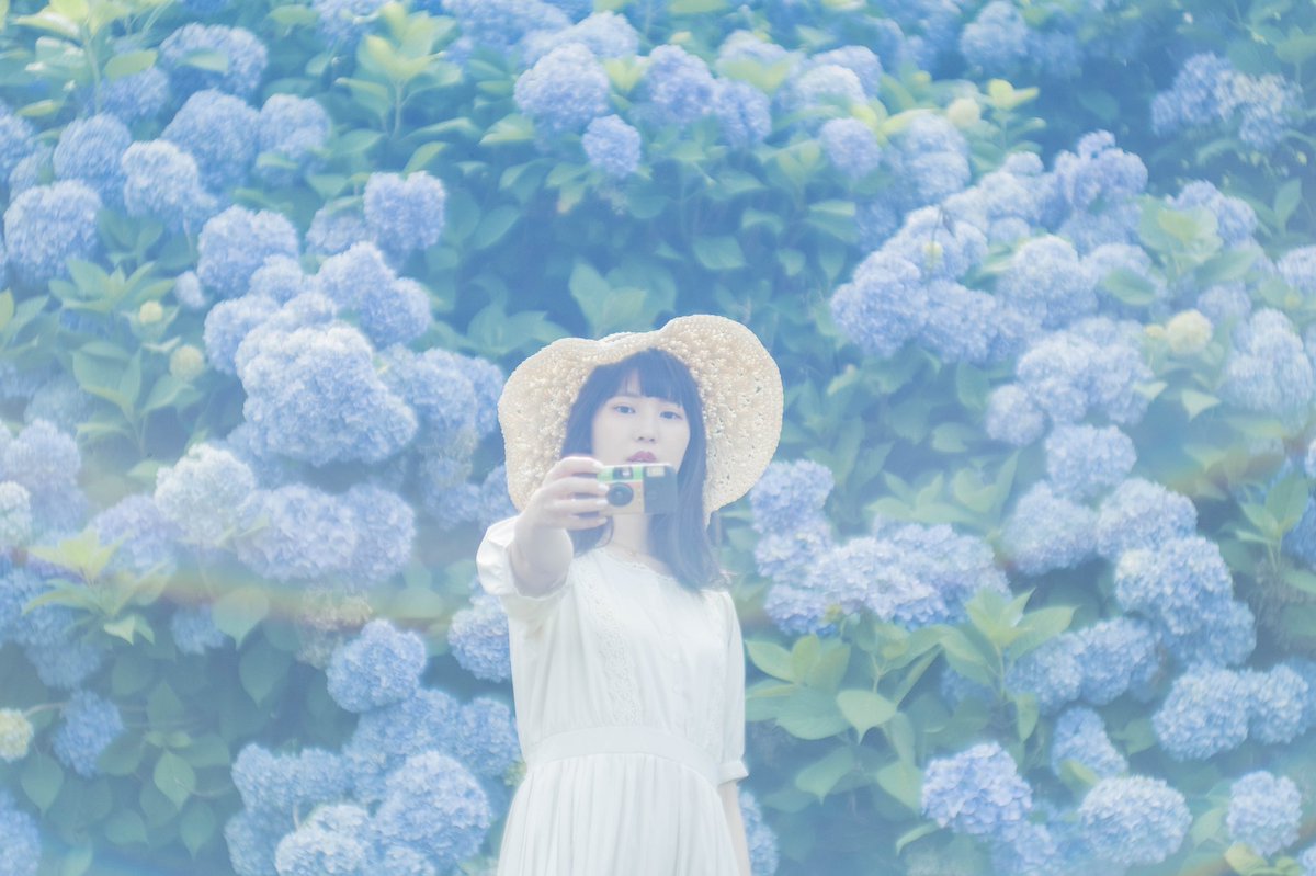 moichi2nd's tweet photo. 紫陽花と。 https://t.co/oH0rpW4b4X