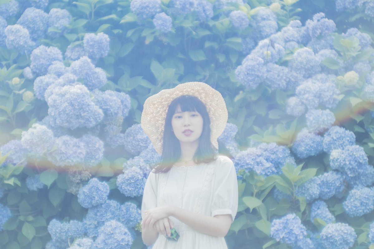 moichi2nd's tweet photo. 紫陽花と。 https://t.co/oH0rpW4b4X