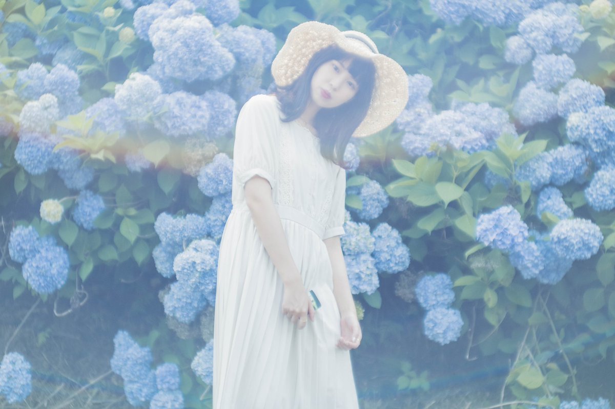 moichi2nd's tweet photo. 紫陽花と。 https://t.co/oH0rpW4b4X