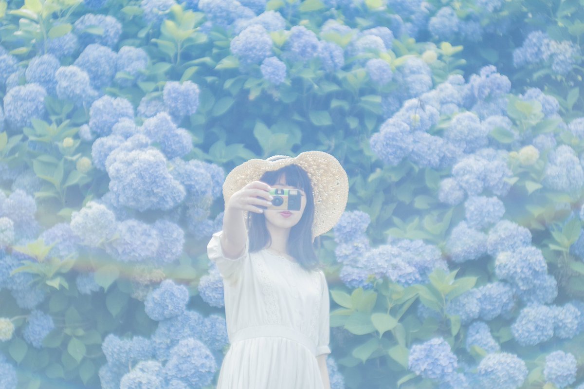 moichi2nd's tweet photo. 紫陽花と。 https://t.co/oH0rpW4b4X