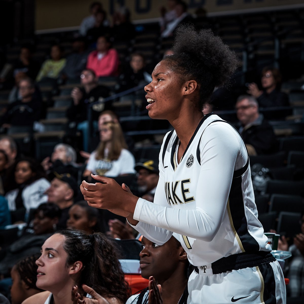 WakeWBB's tweet photo. Congratulations to our 8β£ Deacs who were named to the Spring Dean's List!
#GoDeacs | #WakeWill π© https://t.co/6B2OK8PYZ8